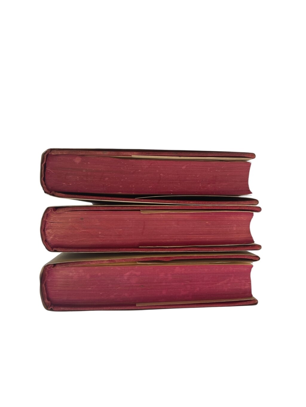 Photoroom 008 20250909 120337