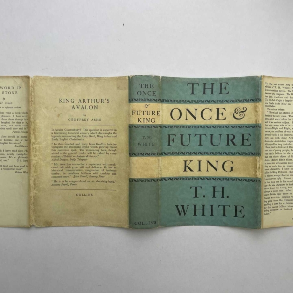 th white the once future king first4