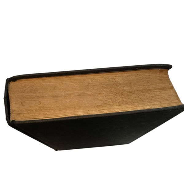 Photoroom 001 20251218 143424