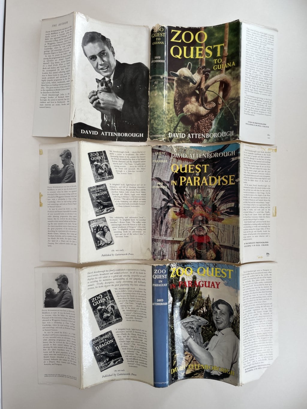 david attenborough zoo quest set4