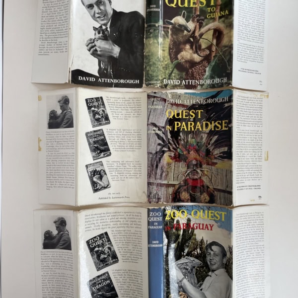 david attenborough zoo quest set4