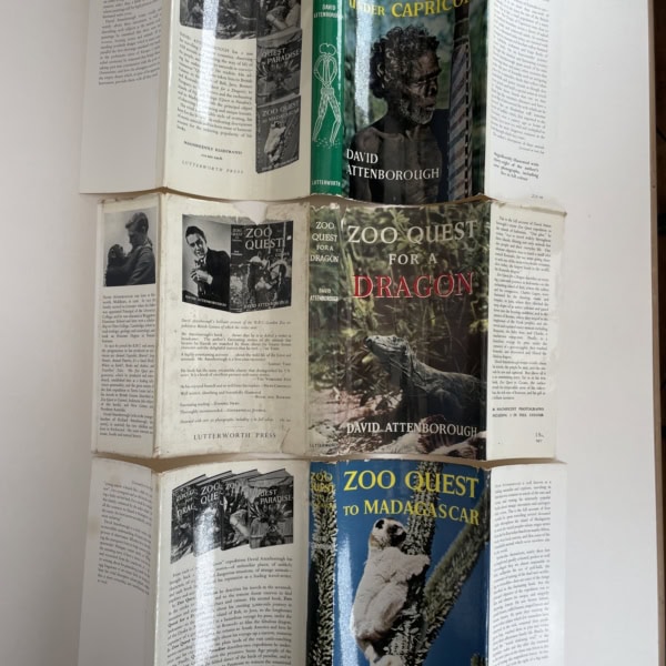 david attenborough zoo quest set5