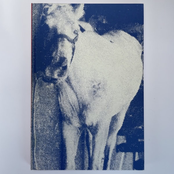 stephen king my pretty pony first us ed 2