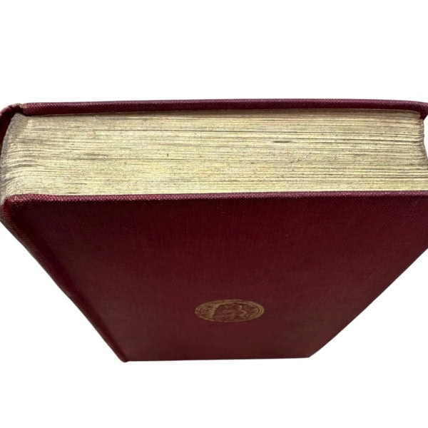 Photoroom 032 20250930 101035 2