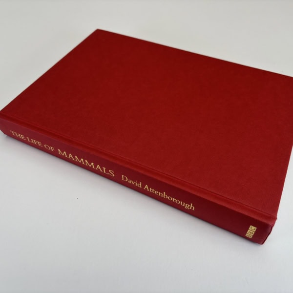 david attenborough the life of mammals first ed3