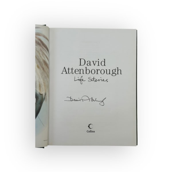 Photoroom 029 20250509 105446