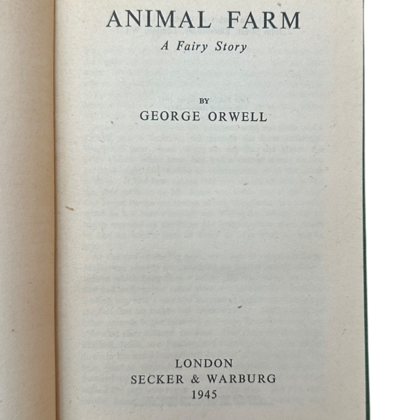 Photoroom 015 20260109 102021