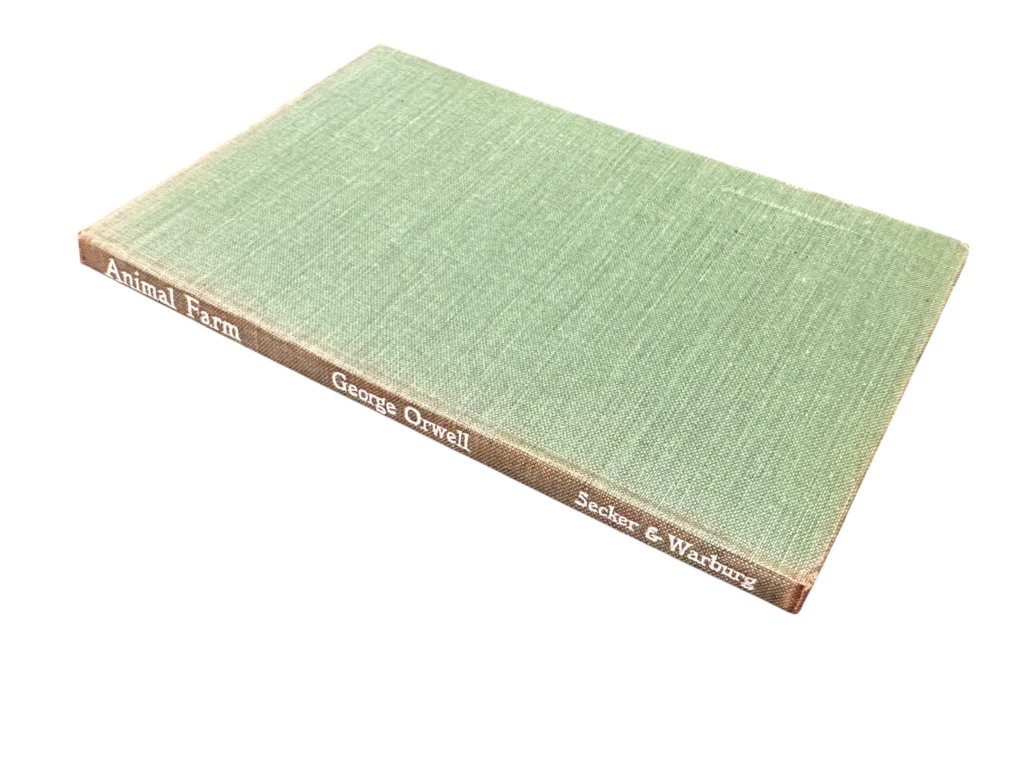 Photoroom 016 20260109 102021