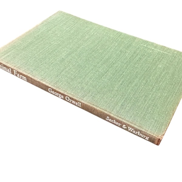 Photoroom 016 20260109 102021