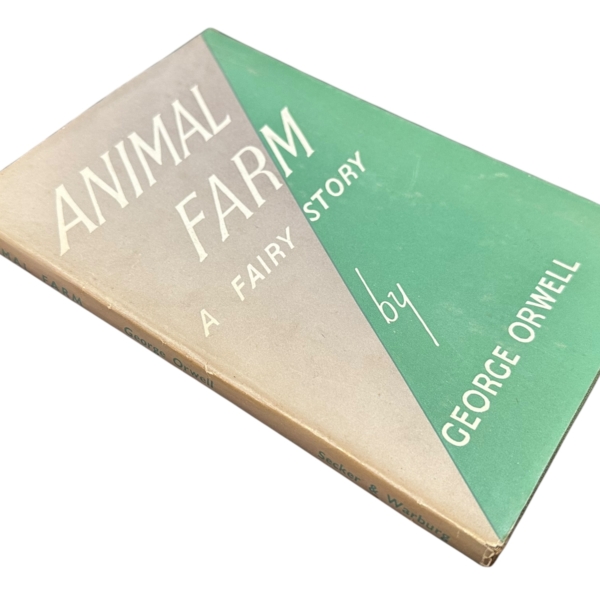 Photoroom 017 20260109 102021