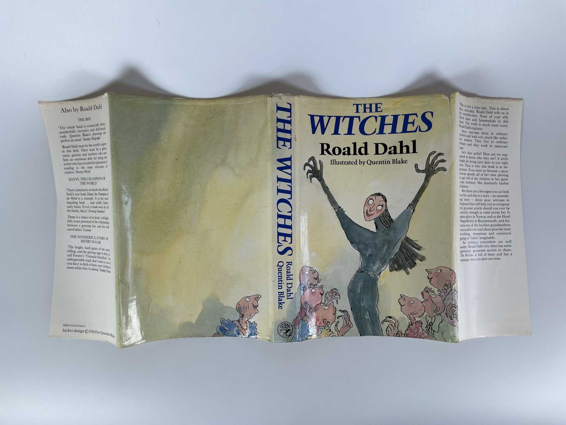 roald dahl the witches first edition4