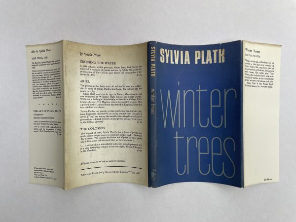 sylvia plath winter trees first edi4