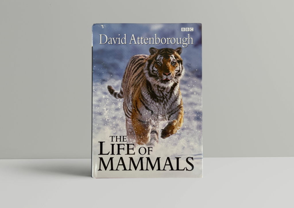 david attenborough the life of mammals first1