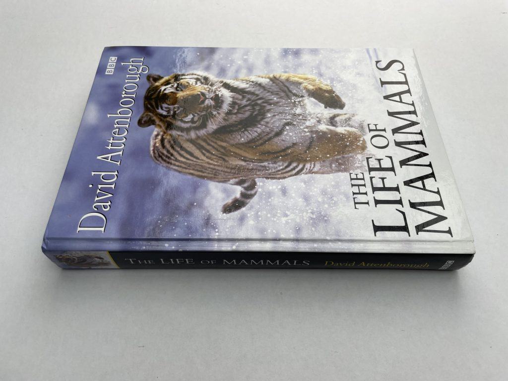 david attenborough the life of mammals first3