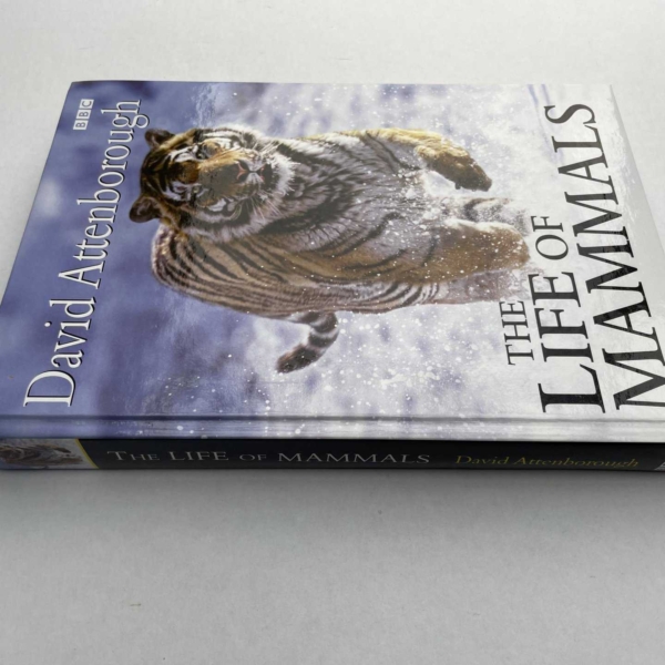 david attenborough the life of mammals first3