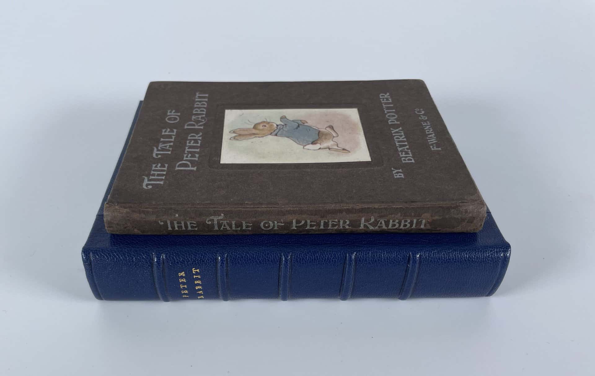 Peter Rabbit First Edition 1902 6