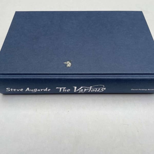 steve augarde the various first edition3