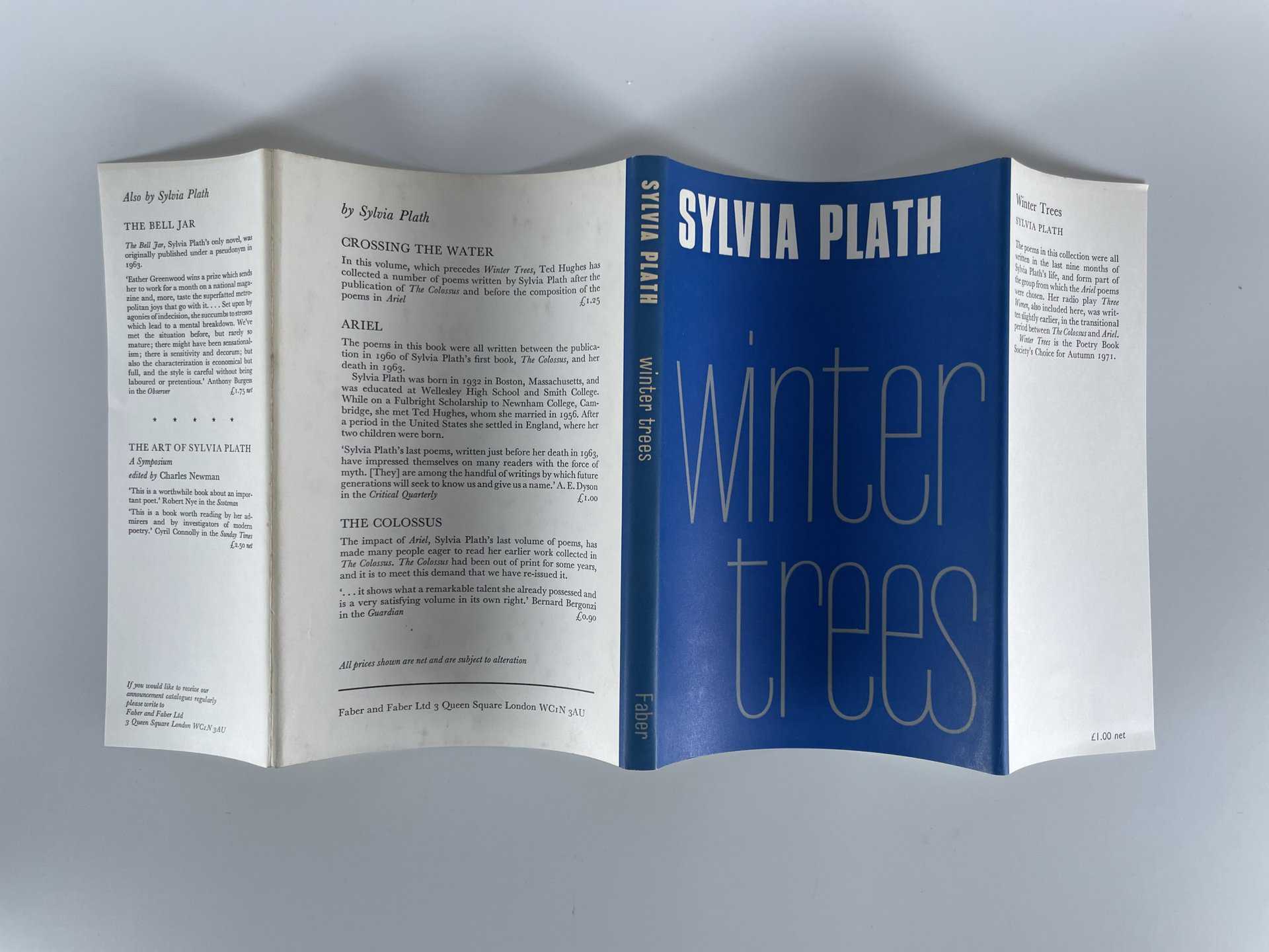 sylvia plath winter trees firsted4