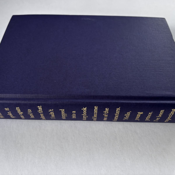 stephen king fairy tale first uk 3