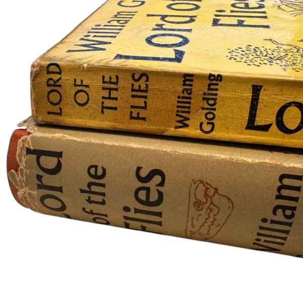 Photoroom 016 20251127 155512