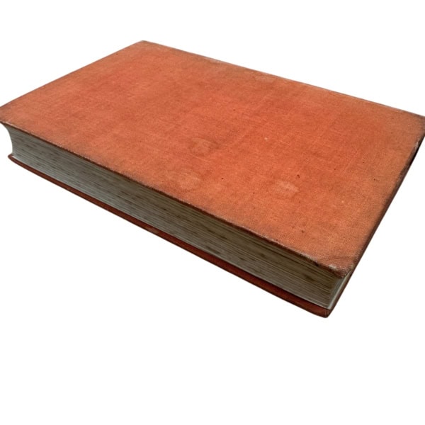 Photoroom 004 20250930 083728