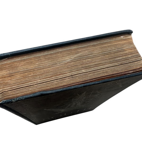 Photoroom 013 20250910 152957