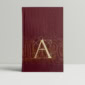 a is for ox folio1