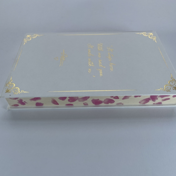 colleen hoover it ends with us first edi4