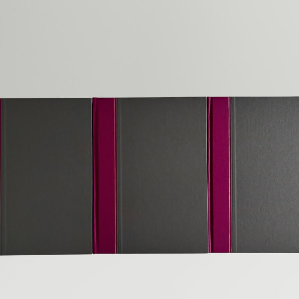 the catherdrals of england folio1
