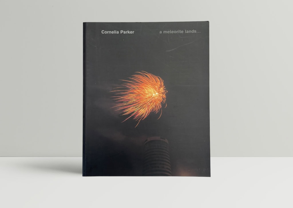 cornelia parker a meteorite lands first ed1