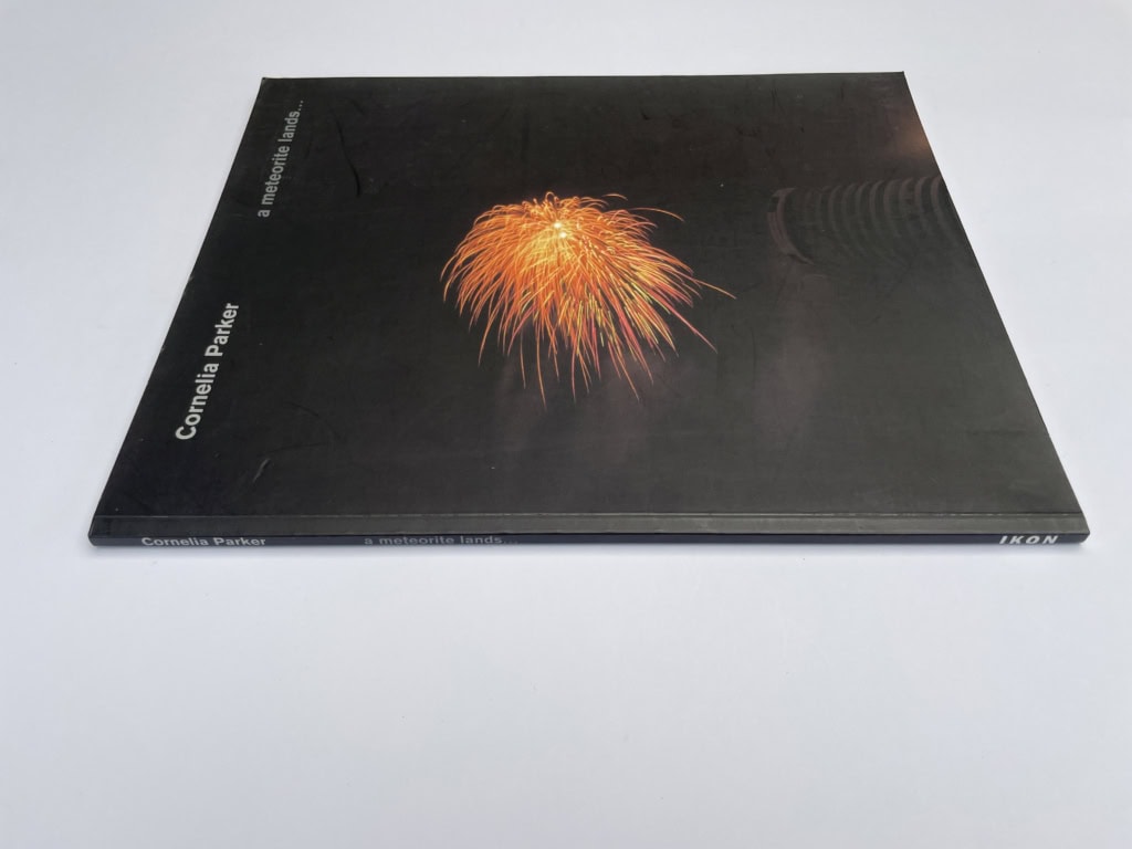 cornelia parker a meteorite lands first ed3
