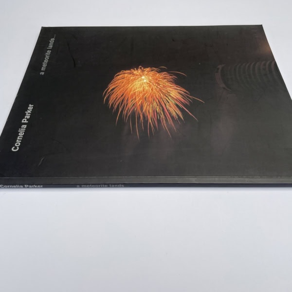 cornelia parker a meteorite lands first ed3
