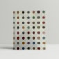 damien hirst internal affairs 1