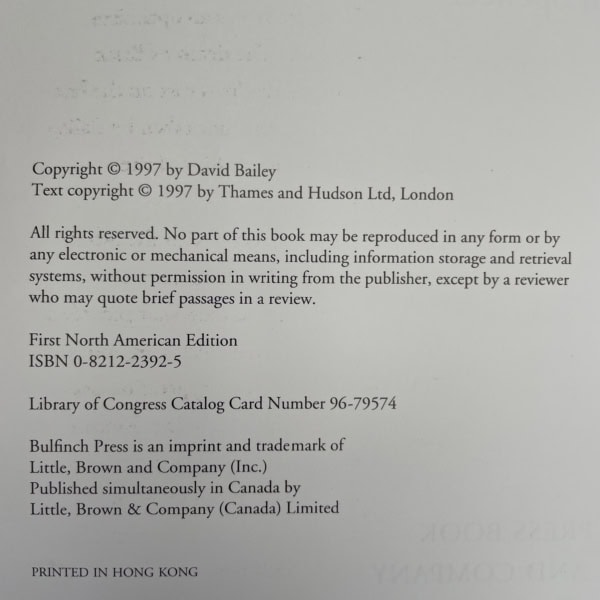 david baileys rock and roll heroes first ed2