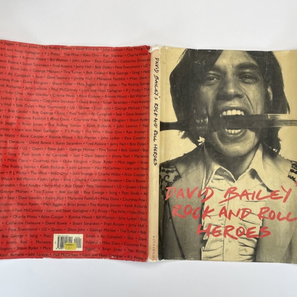 david baileys rock and roll heroes first ed4