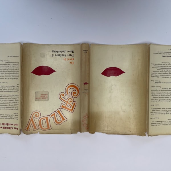 terry southern candy first edition4