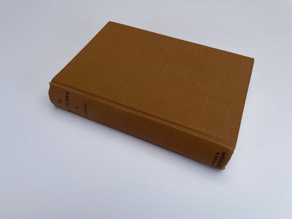 theodore bonnet the mudlark first ed4