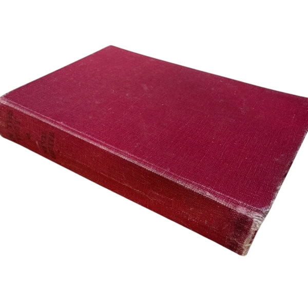 Photoroom 003 20250930 101035 2