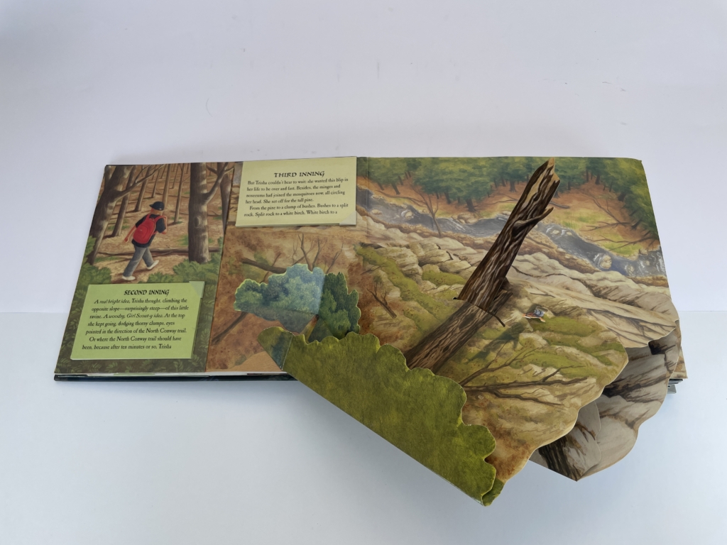 stephen king the girl who loved tom gordon pop up book first3