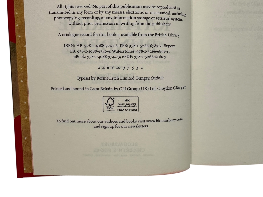 Photoroom 002 20251014 163645