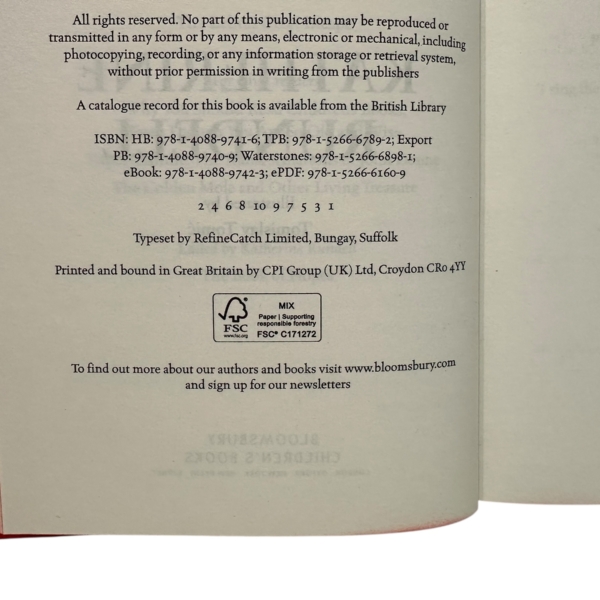 Photoroom 002 20251014 163645