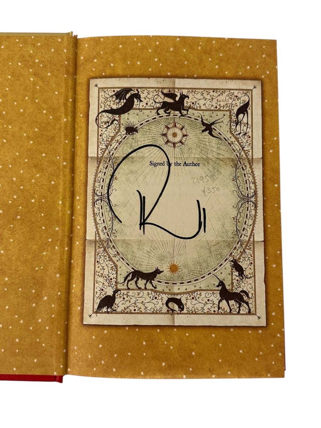 Photoroom 003 20251014 163645