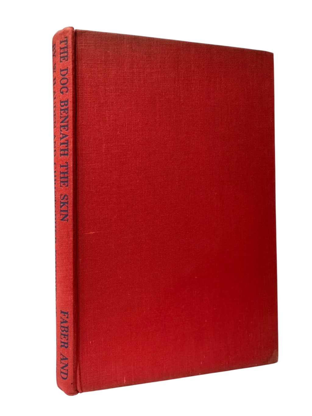 Photoroom 018 20251014 163910 2