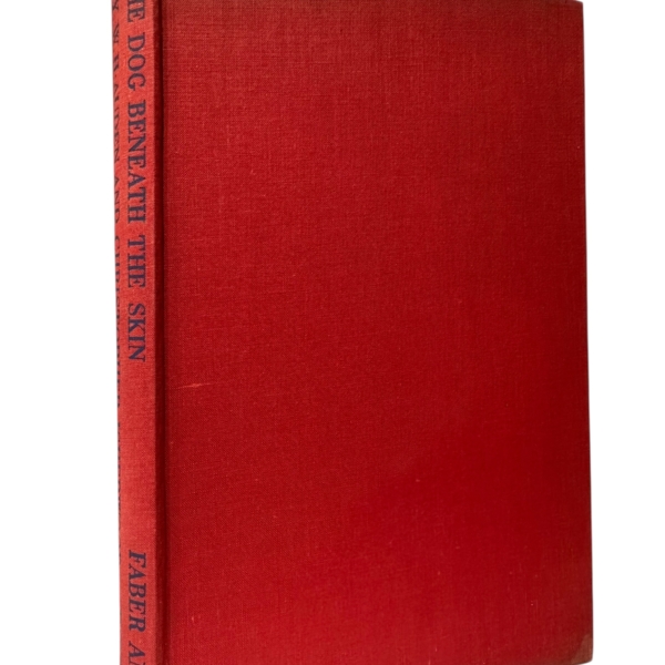 Photoroom 018 20251014 163910 2