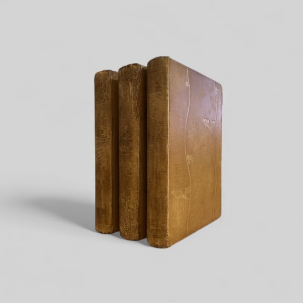 Tess of the D'Urbervilles - First Issue - 1891 - Book