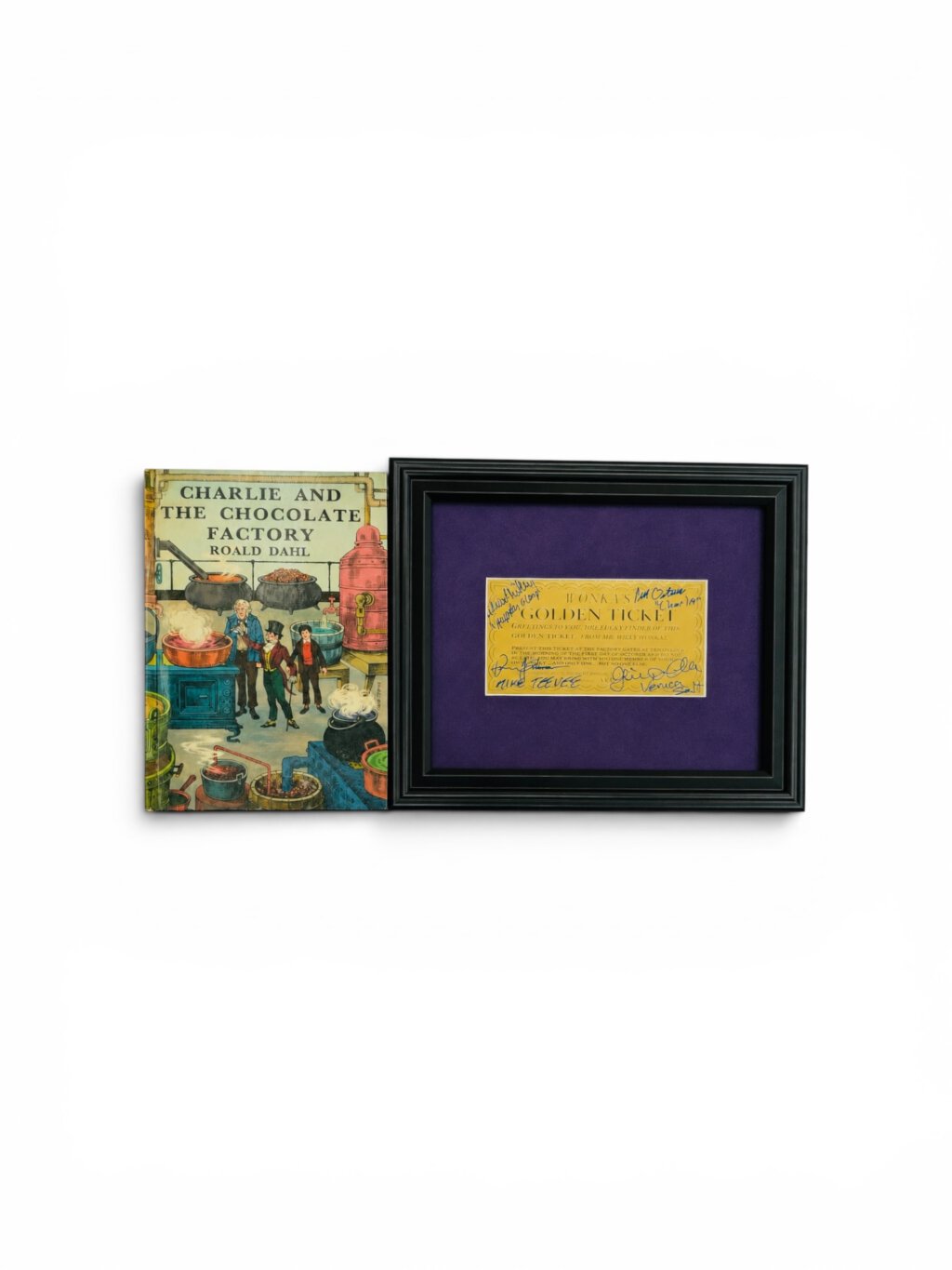 roald dahl catcf with ticket1