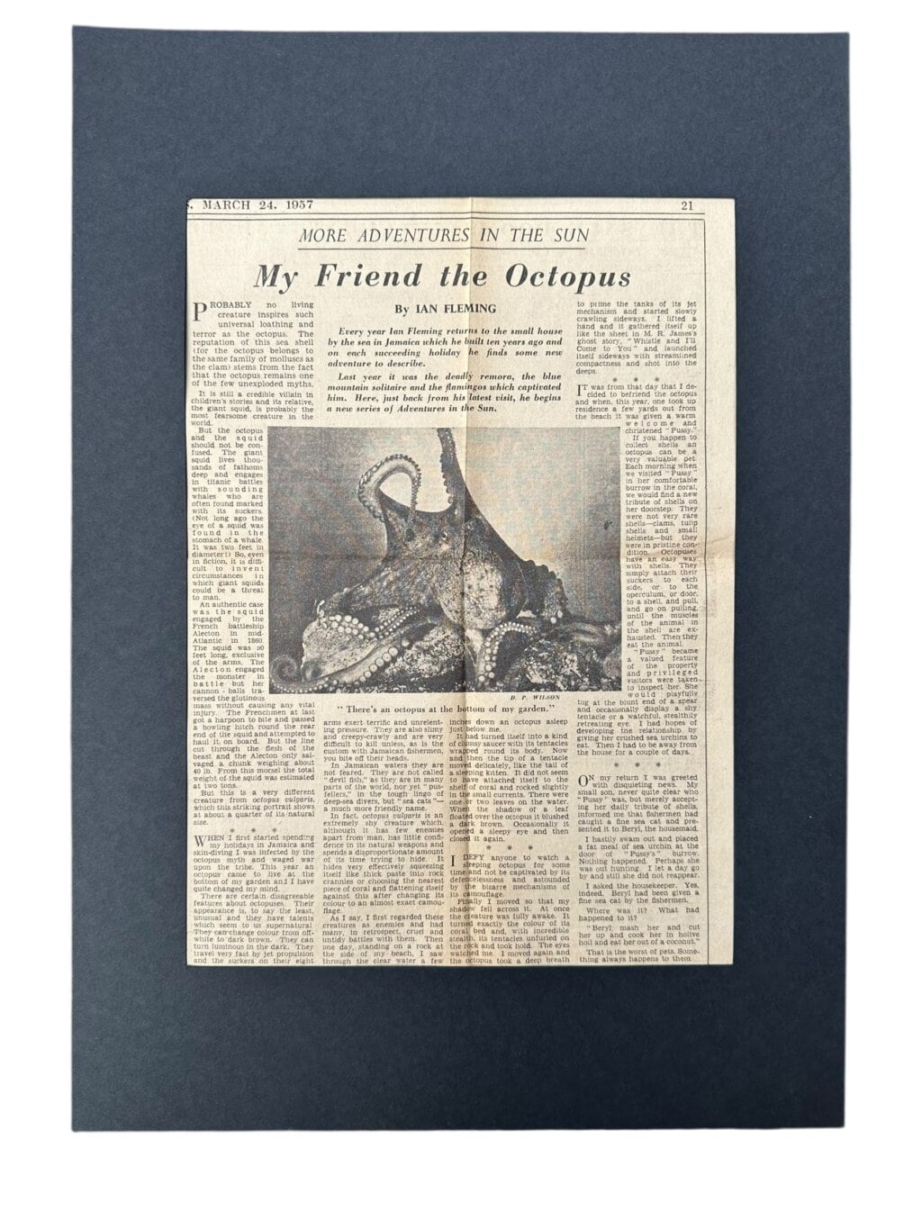 Photoroom 000 20251124 143906