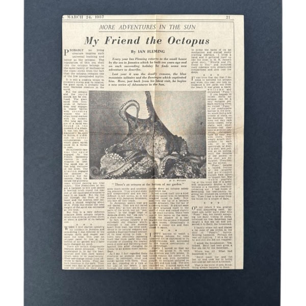 Photoroom 000 20251124 143906