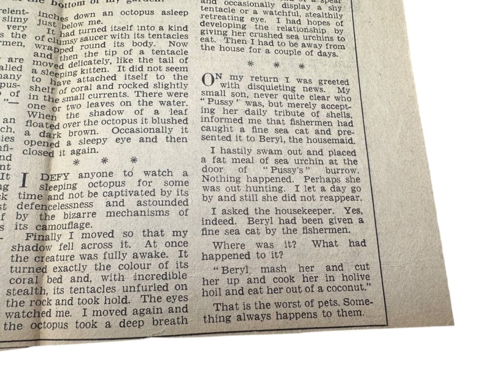 Photoroom 001 20251124 143906