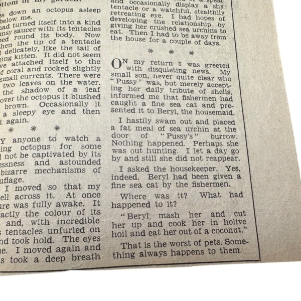 Photoroom 001 20251124 143906